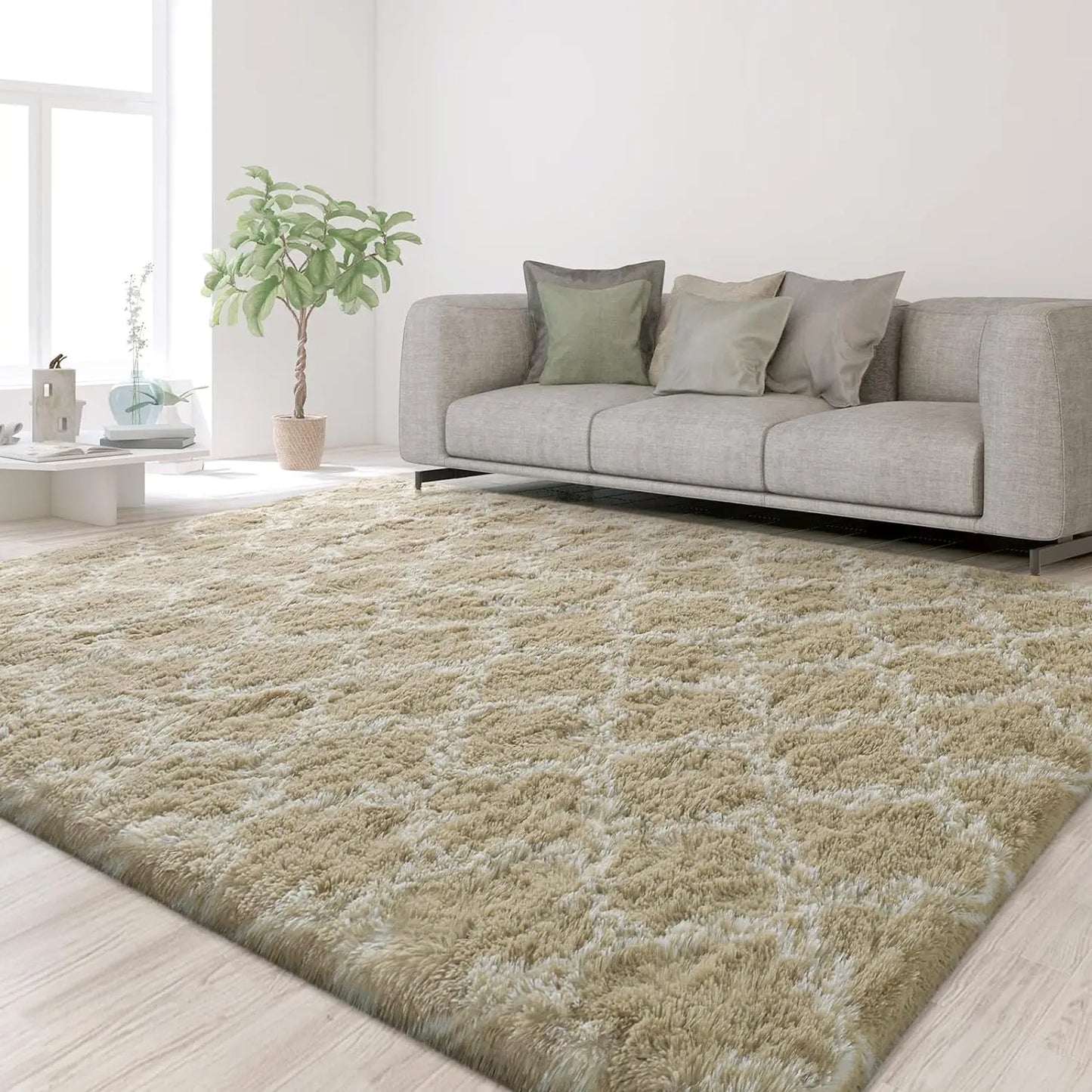Large Area Rug