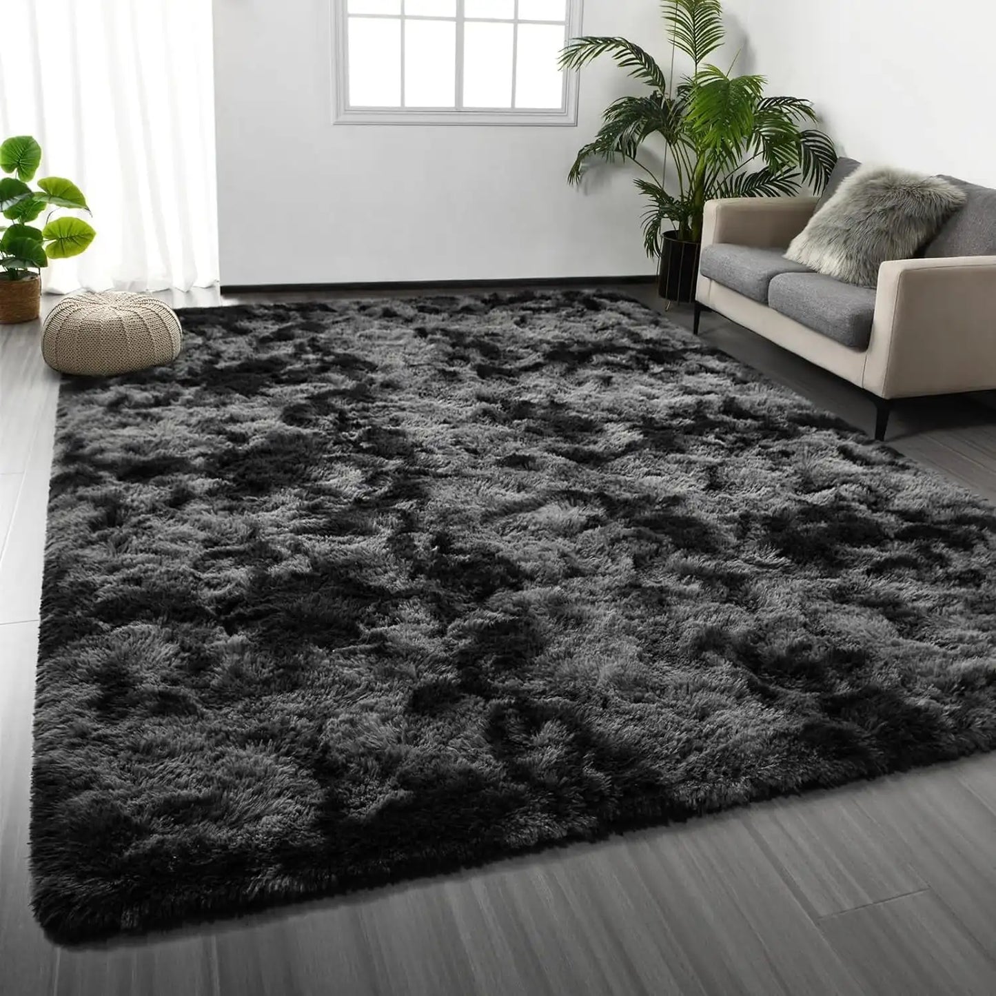 Area Rug