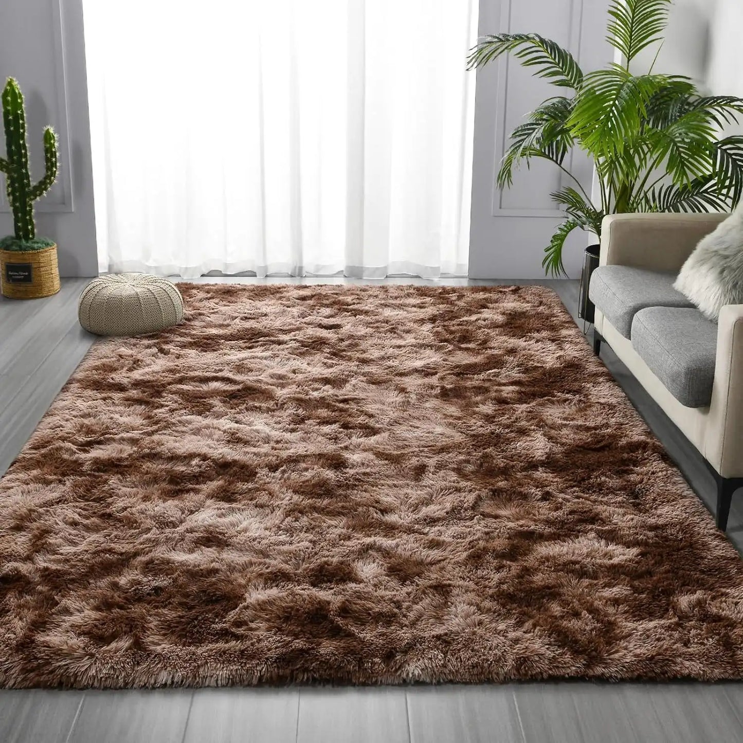 Area Rug
