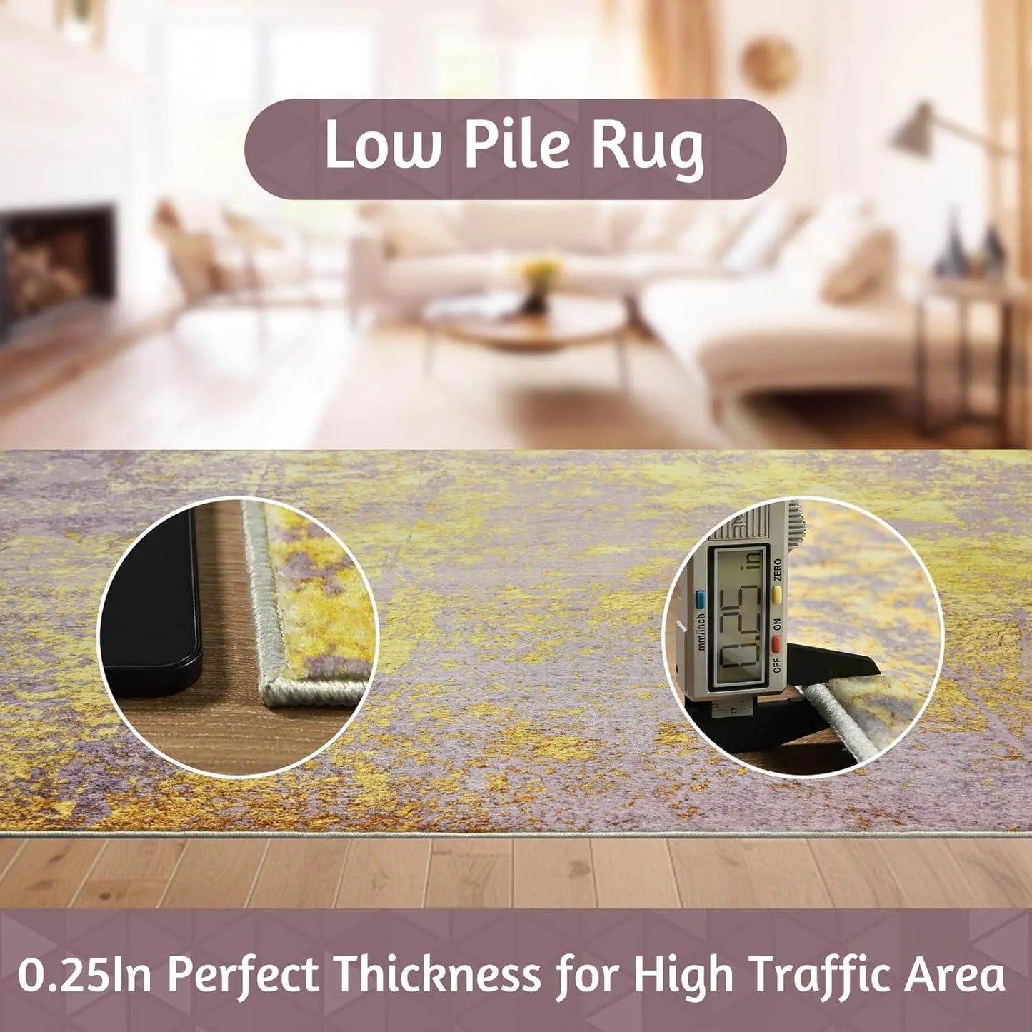 Indoor Rug