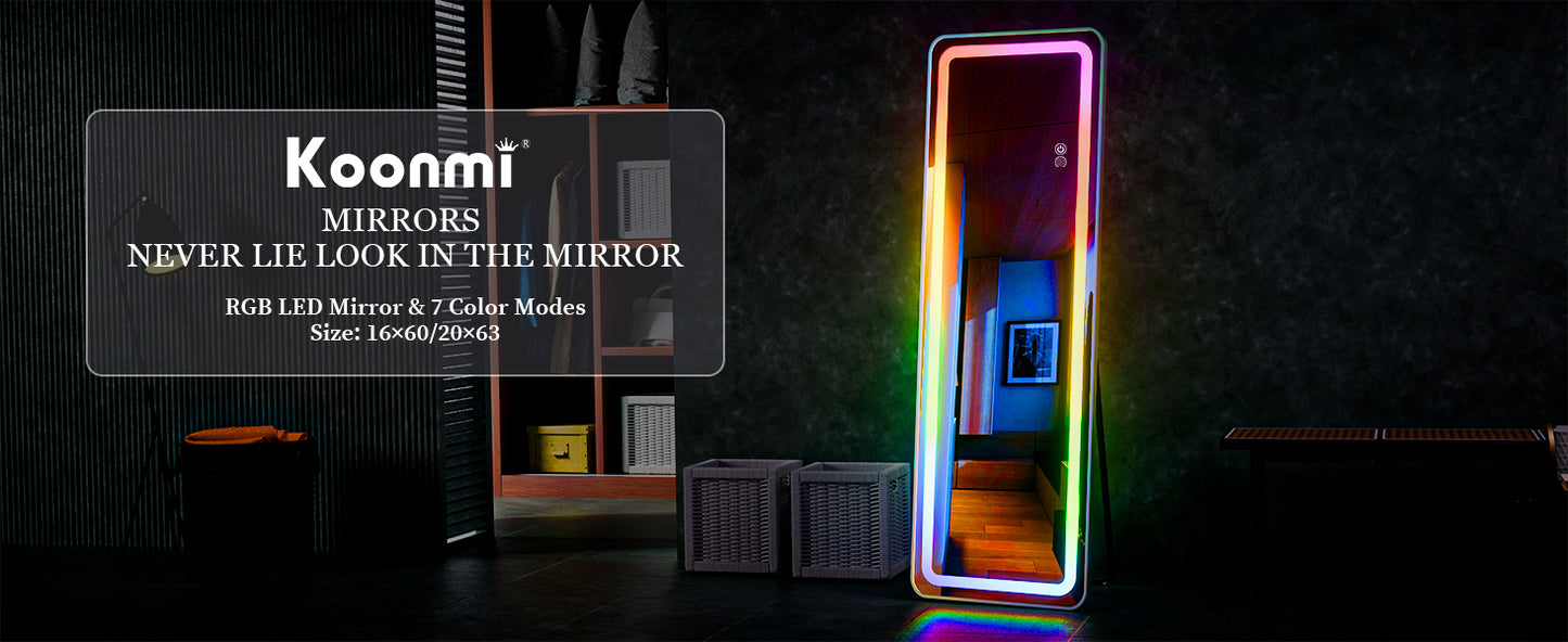 Full Body Mirror with LED Lights