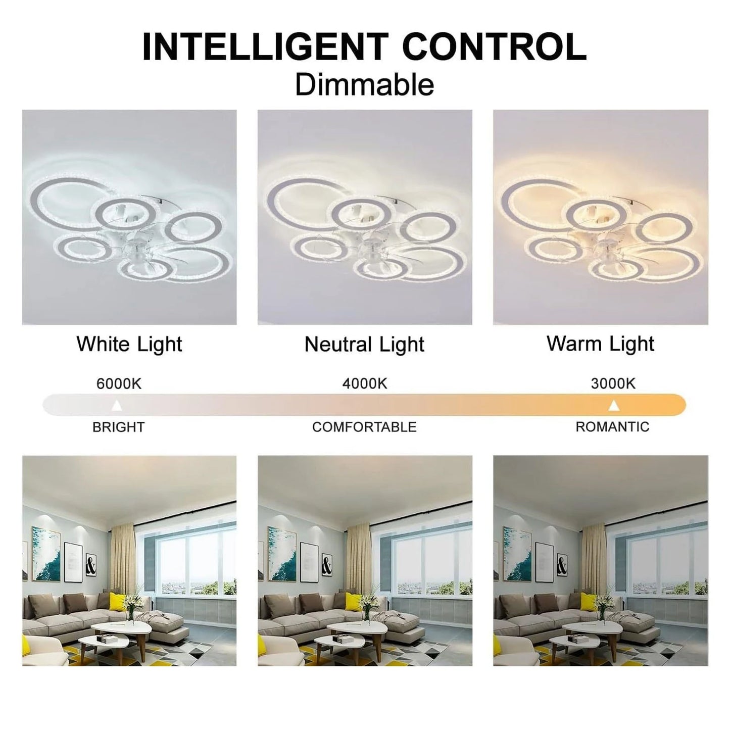 Ceiling Fan Light