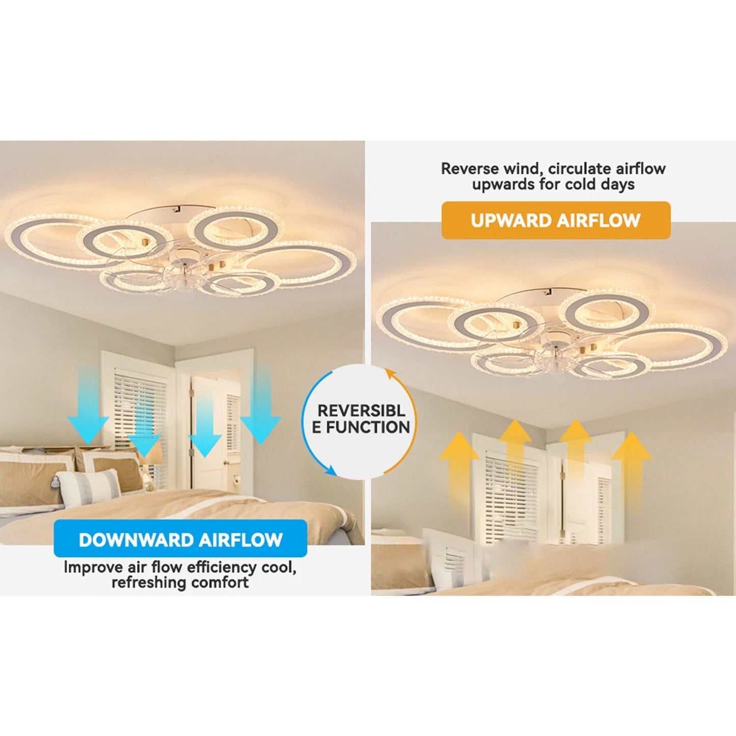 Ceiling Fan Light