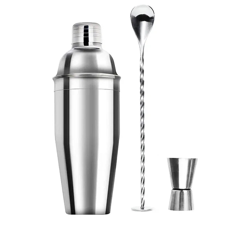 Stainless Steel Cocktail Shaker Set